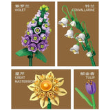 Loz Eternal Flower Potted Plant Bonsai Succulent Cactus