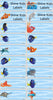 DORY - STICKERS